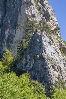 Eastern Europe Prints: Sutjeska National Park, Tjentiste, Foca, Bosnia and Herzegovina.
