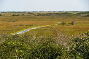 Everglades Landscape Prints: The Swamp land at Everglades National Park, Florida, United States