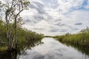 Everglades Landscape Prints: The Swamp land at Everglades National Park, Florida, United States