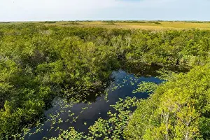 Everglades Landscape Prints: The Swamp land at Everglades National Park, Florida, United States