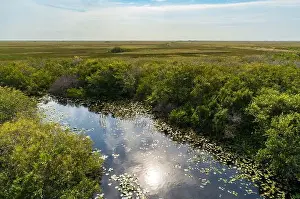 The Swamp land at Everglades National Park, Florida, United States