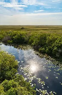 Everglades Landscape Prints: The Swamp land at Everglades National Park, Florida, United States