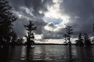 Blue Boat Prints: Swamp tour on a boat near Lafayette, Luisiana