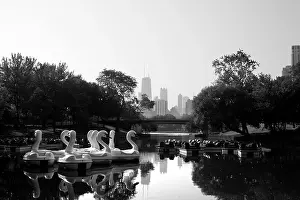 Stock Photos Prints: SWAN BOATS SOUTH POND LINCOLN PARK CHICAGO ILLINOIS USA