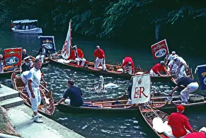 Companies Prints: Swan Upping or marking of swans at Cookham Lock Berkshire Rounding up swans and cygnets for them to be marked