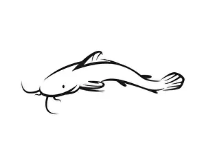 Catfish Prints: Swimming Catfish, Clarias and Lele Illustration with Silhouette Style Vector
