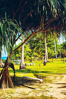 Krabi Prints: swing under tree in jungle resort, Krabi, Thailand
