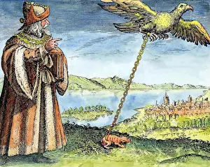 Frog Prints: SYMBOLS - EAGLE - FROG - ALCHEMY - AVICENNA Engraving from Michael Maier's Symbola Aureae Mensae
