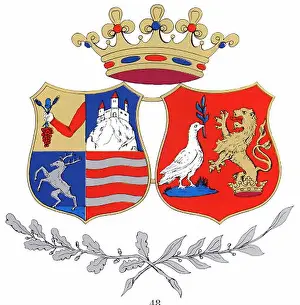 The Szilagy coat of arms is a heraldic symbol representing the Szilagy family or region