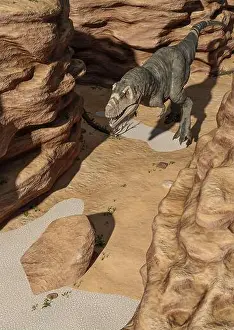 Tyrannosaurus Prints: t rex the strongest dinosaur walking through the desert stone