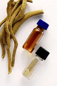 Rituals Prints: Tabernanthe iboga Roots, TPA HCl extract tincture 1.50, TPA-HCl 95% (Ibogaine)
