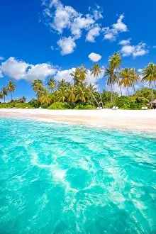Tahiti or Maldives island panoramic beach. Tropical landscape shore of scenic summer, white sand, palm trees. Luxury travel vacation destination