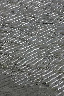 Sands Prints: Tahuna beach, Nelson, New Zealand