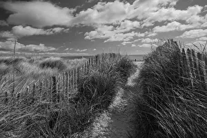 Dunes Prints: Taken in black and white on a nice sunny day with many clouds on the east coast of Scotland in St