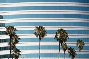 Highrise Prints: Tall building with blue stripes windows and white walls looking over palm trees