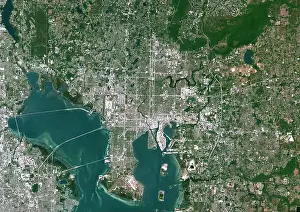 Tampa Prints: Tampa, Florida, United States