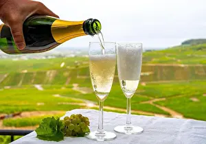 Tasting Prints: Tasting of french sparkling white wine with bubbles champagne on outdoor terrace with view on green grand cru Champagne