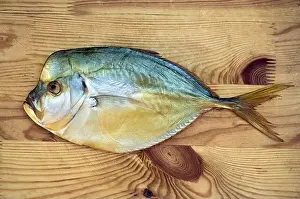 Delicatessen Prints: Tasty smoked vomer selene sea fish on wooden background