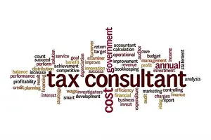 Profitability Prints: Tax consultant word cloud concept on white background