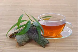 Tumbler Prints: tea bark herb tea willow cup glass chalice tumbler tea leaf drink green leaves