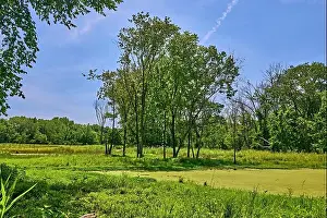 Water Reflection Prints: Teaneck Creek Conservancy in Teaneck