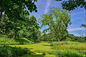 Water Reflection Prints: Teaneck Creek Conservancy in Teaneck