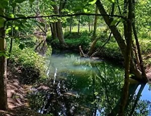 Emerald Prints: Teaneck Creek Conservancy in Teaneck