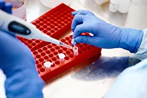 Biotechnology Prints: Technician works investigating analysis sample in test tubes
