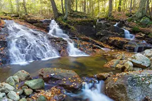 Calming Prints: Tecumseh Brook in Waterville Valley