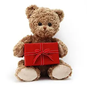 Teddy Prints: teddy bear with red gift box, present with ribbon bow, isolated on white background