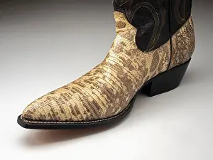 Tegu Prints: Tegu lizard skin cowboy boot showing the natural color pattern of the lizard