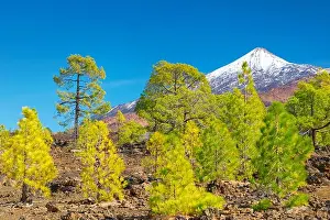Canaries Prints: Tenerife - view of Teide Mount, Canary Islands, Spain