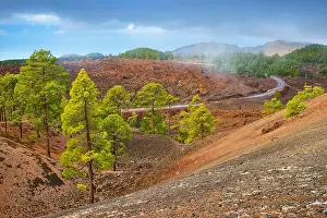 Tenerife - volcanic landscape, Teide National Park, Canary Islands, Spain