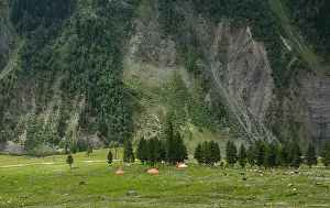 Freeway Prints: Tents at the valley in Jammu and Kashmir