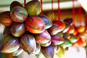 Java Prints: Terong Belanda or tamarillo is a common exotic fruit of Indonesia sold on local markets