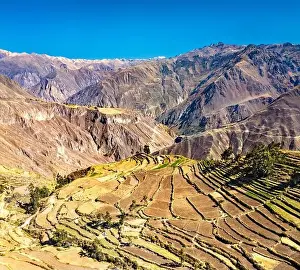 Terraced fields in the Colca Canyon at Cabanaconde in the Arequipa region of Peru