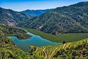 Back Lit Prints: Terraced vineyards over Foz Tua Reservoir in Garganta do Rio Tua
