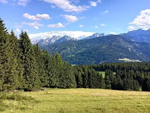 Pines Prints: From Tesido, panorama of the mountains of the Braies valley