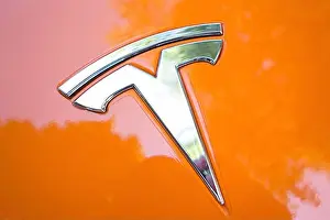Tilted Prints: Tesla Car Logo Close-up on a Tesla Roadster