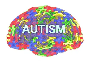 Acceptance Prints: Text Autism inside the anatomical model of a human brain