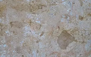 Floors Prints: texture background wallpaper stone marble