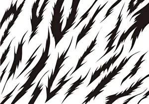 Bengal Prints: Texture of bengal tiger fur, orange stripes pattern