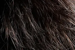 Softness Prints: Texture of dark brown messy hair ends macro close up view