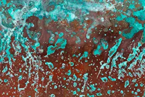 Charming Color Colorful Prints: Textured abstract painting. Hand painted background. Field flowers