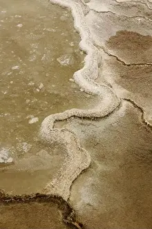 Basalt Prints: Textures and colors of the terrain in Yellowstone National Park IX USA