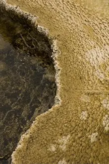 Basalt Prints: Textures and colors of the terrain in Yellowstone National Park VII USA