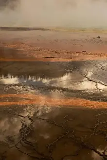 Basalt Prints: Textures and colors of the terrain in Yellowstone National Park XIV USA