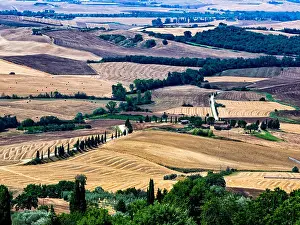 Dorcia Prints: From the the walls of Pienza in Tuscany, Italy