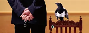 Prevention Prints: Thieving magpie with stolen gem caught in the act