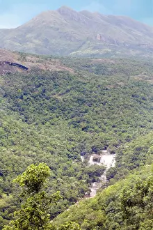 Jungles Prints: Thoovanam waterfall in South Western Ghats Montane Rain Forests the most species-rich ecoregion in the Deccan Peninsula
